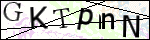 Human Confirmation Code (Captcha)