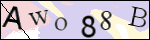 Human Confirmation Code (Captcha)