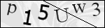 Human Confirmation Code (Captcha)