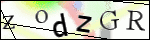 Human Confirmation Code (Captcha)