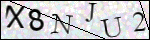 Human Confirmation Code (Captcha)