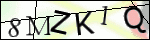 Human Confirmation Code (Captcha)