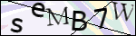 Human Confirmation Code (Captcha)