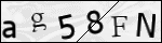 Human Confirmation Code (Captcha)