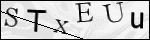 Human Confirmation Code (Captcha)