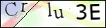 Human Confirmation Code (Captcha)