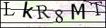 Human Confirmation Code (Captcha)