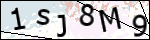 Human Confirmation Code (Captcha)