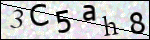 Human Confirmation Code (Captcha)