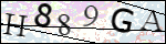 Human Confirmation Code (Captcha)