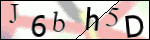 Human Confirmation Code (Captcha)
