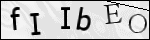Human Confirmation Code (Captcha)