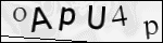 Human Confirmation Code (Captcha)