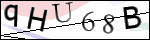 Human Confirmation Code (Captcha)