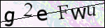 Human Confirmation Code (Captcha)