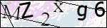 Human Confirmation Code (Captcha)