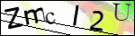 Human Confirmation Code (Captcha)