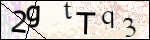 Human Confirmation Code (Captcha)