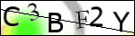 Human Confirmation Code (Captcha)