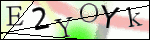 Human Confirmation Code (Captcha)
