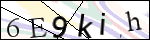 Human Confirmation Code (Captcha)