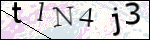 Human Confirmation Code (Captcha)
