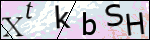 Human Confirmation Code (Captcha)