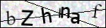 Human Confirmation Code (Captcha)