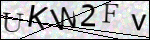 Human Confirmation Code (Captcha)