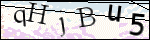Human Confirmation Code (Captcha)