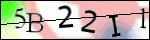 Human Confirmation Code (Captcha)