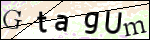 Human Confirmation Code (Captcha)