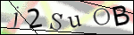 Human Confirmation Code (Captcha)