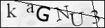 Human Confirmation Code (Captcha)