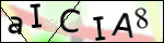 Human Confirmation Code (Captcha)