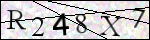 Human Confirmation Code (Captcha)
