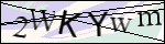 Human Confirmation Code (Captcha)