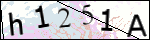 Human Confirmation Code (Captcha)