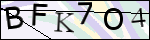 Human Confirmation Code (Captcha)