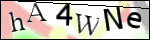 Human Confirmation Code (Captcha)