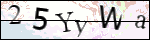 Human Confirmation Code (Captcha)