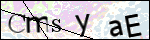 Human Confirmation Code (Captcha)