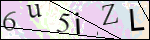 Human Confirmation Code (Captcha)