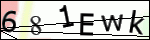 Human Confirmation Code (Captcha)