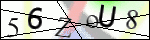 Human Confirmation Code (Captcha)