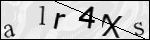 Human Confirmation Code (Captcha)