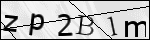 Human Confirmation Code (Captcha)