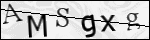 Human Confirmation Code (Captcha)