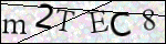 Human Confirmation Code (Captcha)