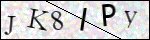 Human Confirmation Code (Captcha)